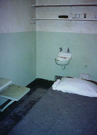 Typical cell