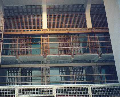 Rows of cells