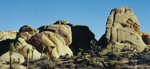 Jumbo Rocks