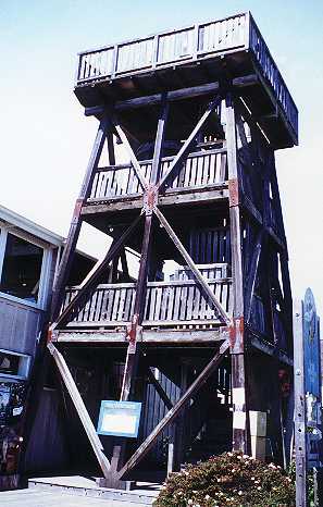 Tower Next to Restaurant