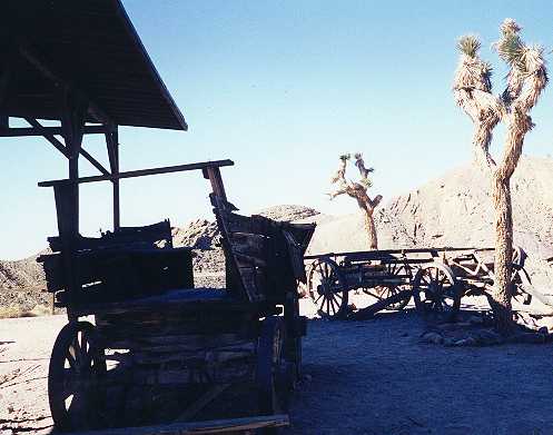 A cart in a shade with yucca