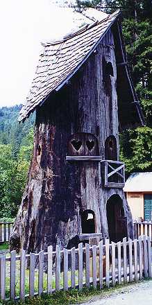 Tree House