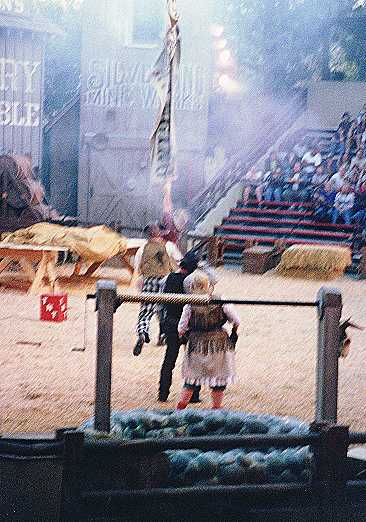 Stunt Fight